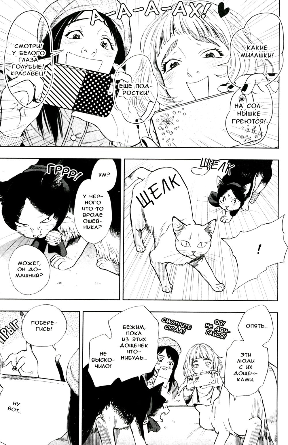 Жизнь бродячего кота. Т. 1: манга