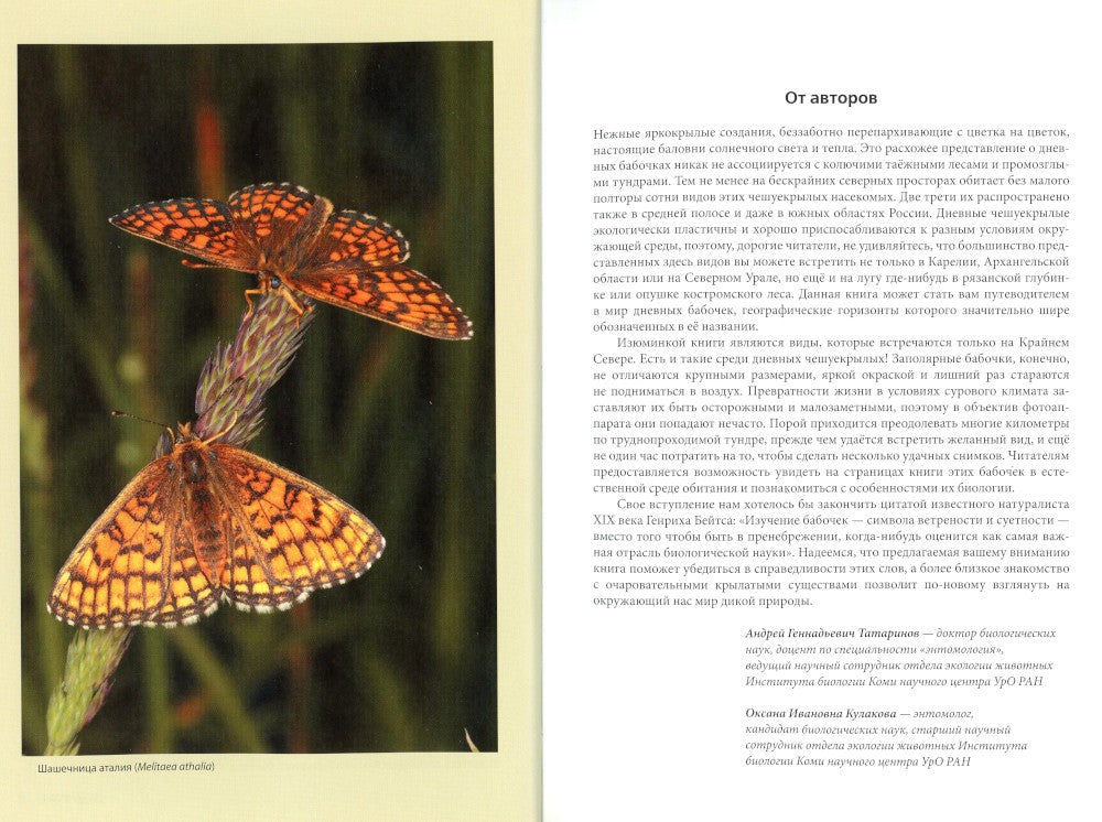 Дневные бабочки Европейского Севера России: Атлас-определитель
