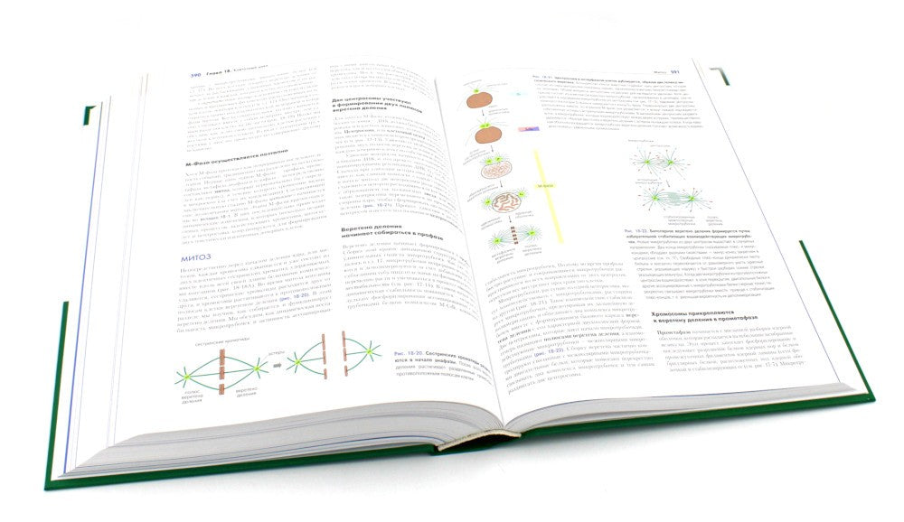 Основы молекулярной биологии клетки. 3-е изд., полн., перераб. и расш