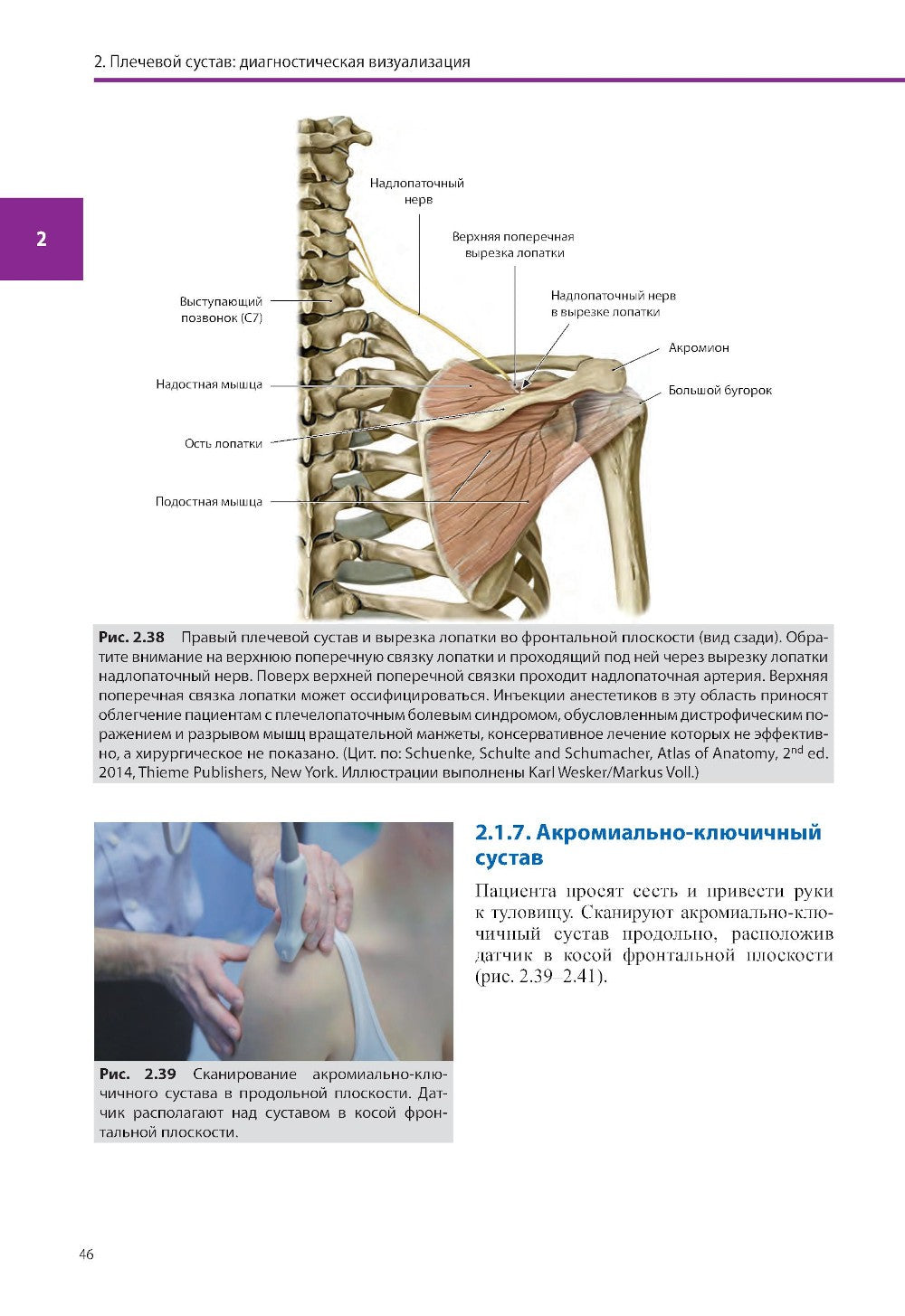 Ультразвуковая диагностика болезней костно-мышечной системы и инъекции под ул...