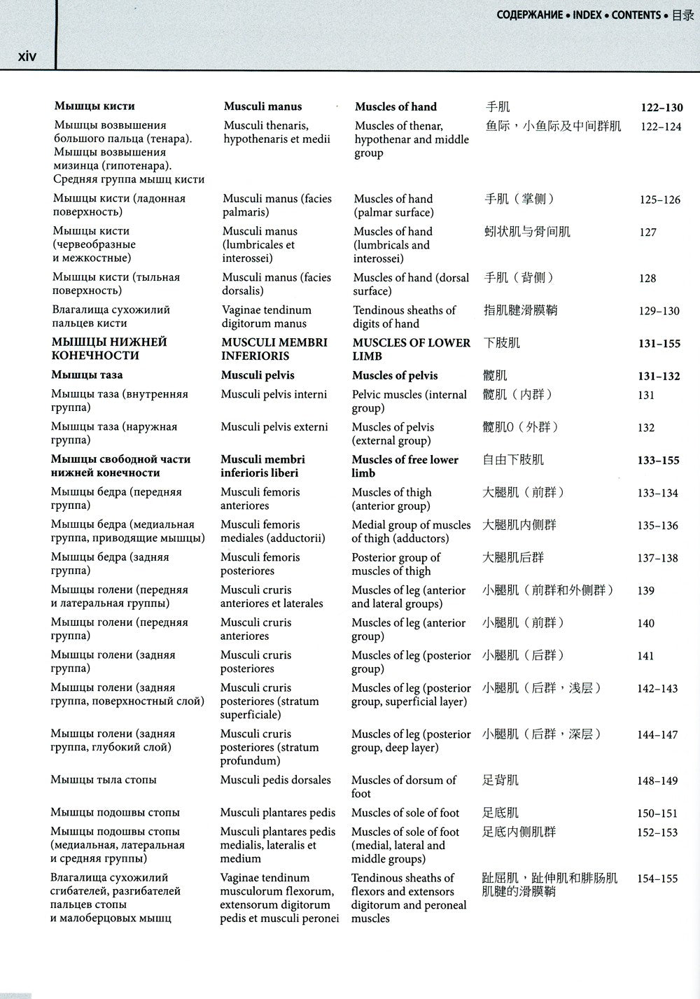 Мультилингвальный атлас анатомии человека. Т. 1: Учебно-наглядное пособие