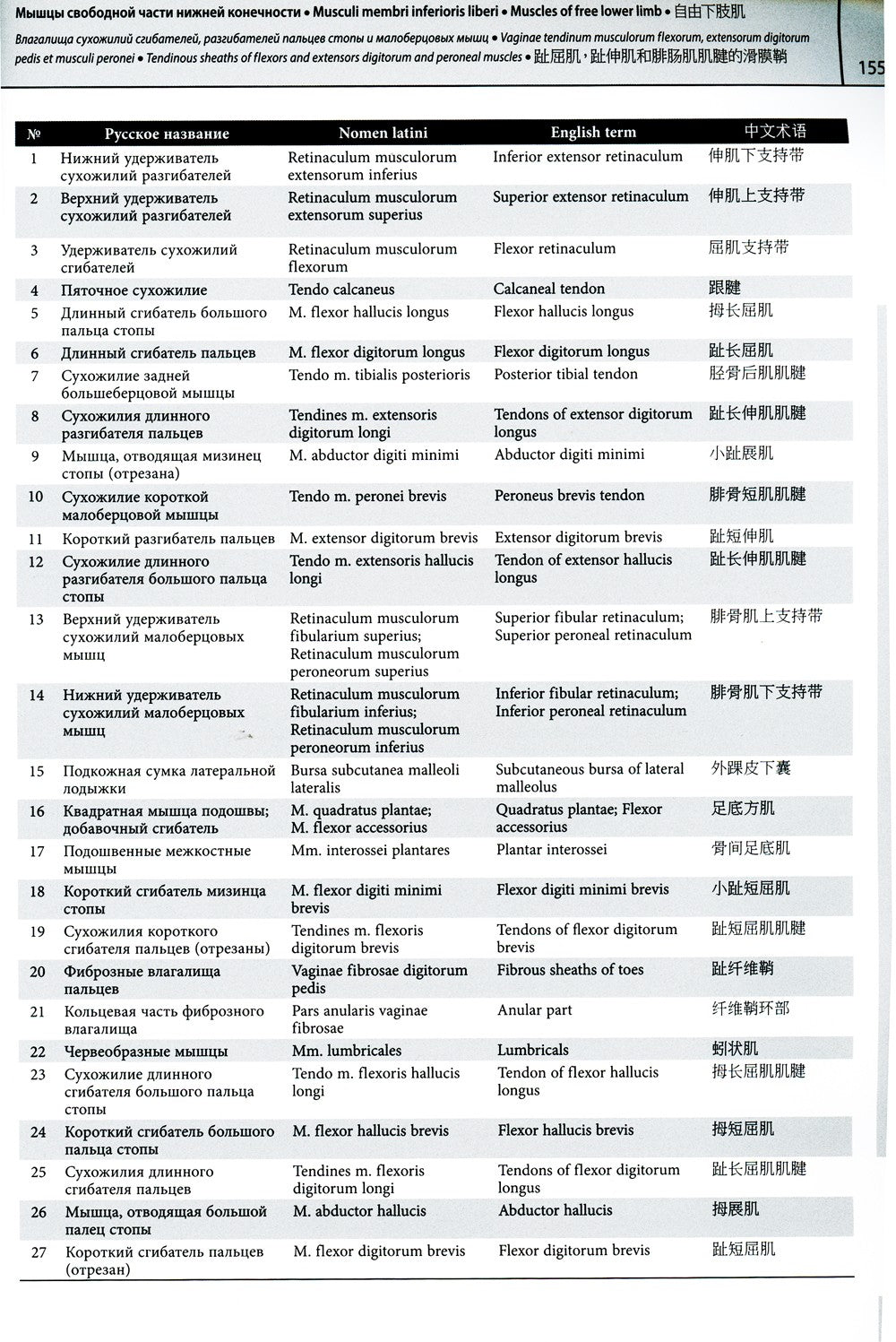 Мультилингвальный атлас анатомии человека. Т. 1: Учебно-наглядное пособие