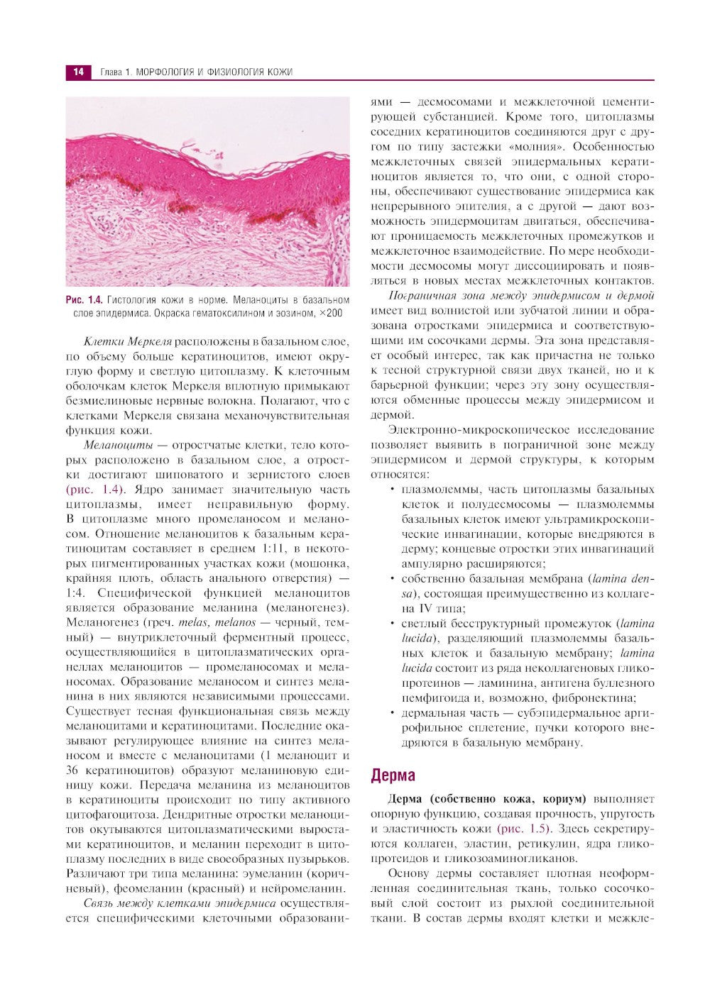 Клиническая дерматология. Иллюстрированное руководство для врачей. 2-е изд., ...