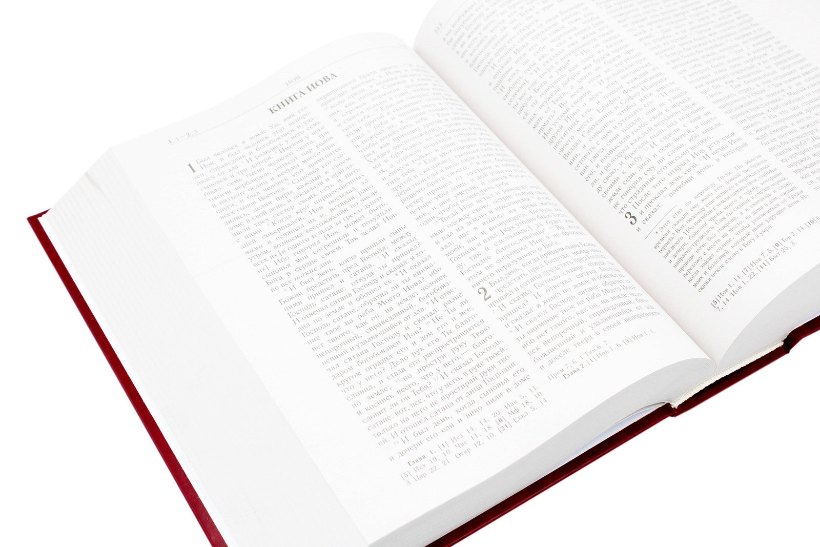 Библия. Книги Священного Писания Ветхого и Нового Завета