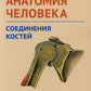 Анатомия человека. Соединения костей. Карточки: наглядное учебное пособие