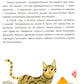 Хочу котенка! Полное пособие по уходу за питомцем