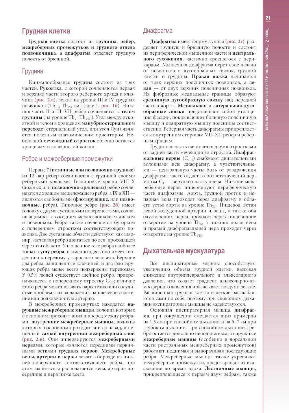 Наглядная пульмонология. 2-е изд