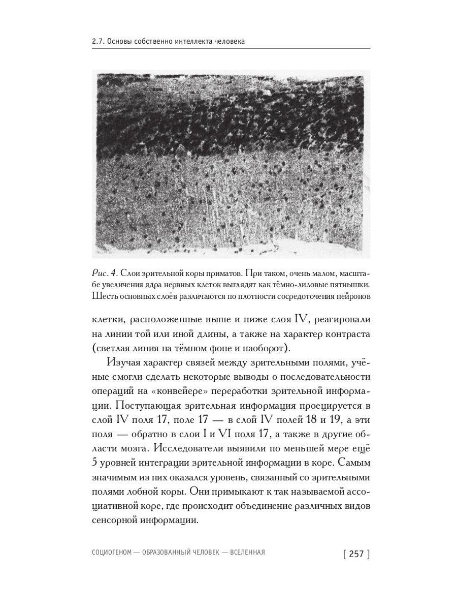 Социогеном - Образованный человек - Вселенная. 2-е изд