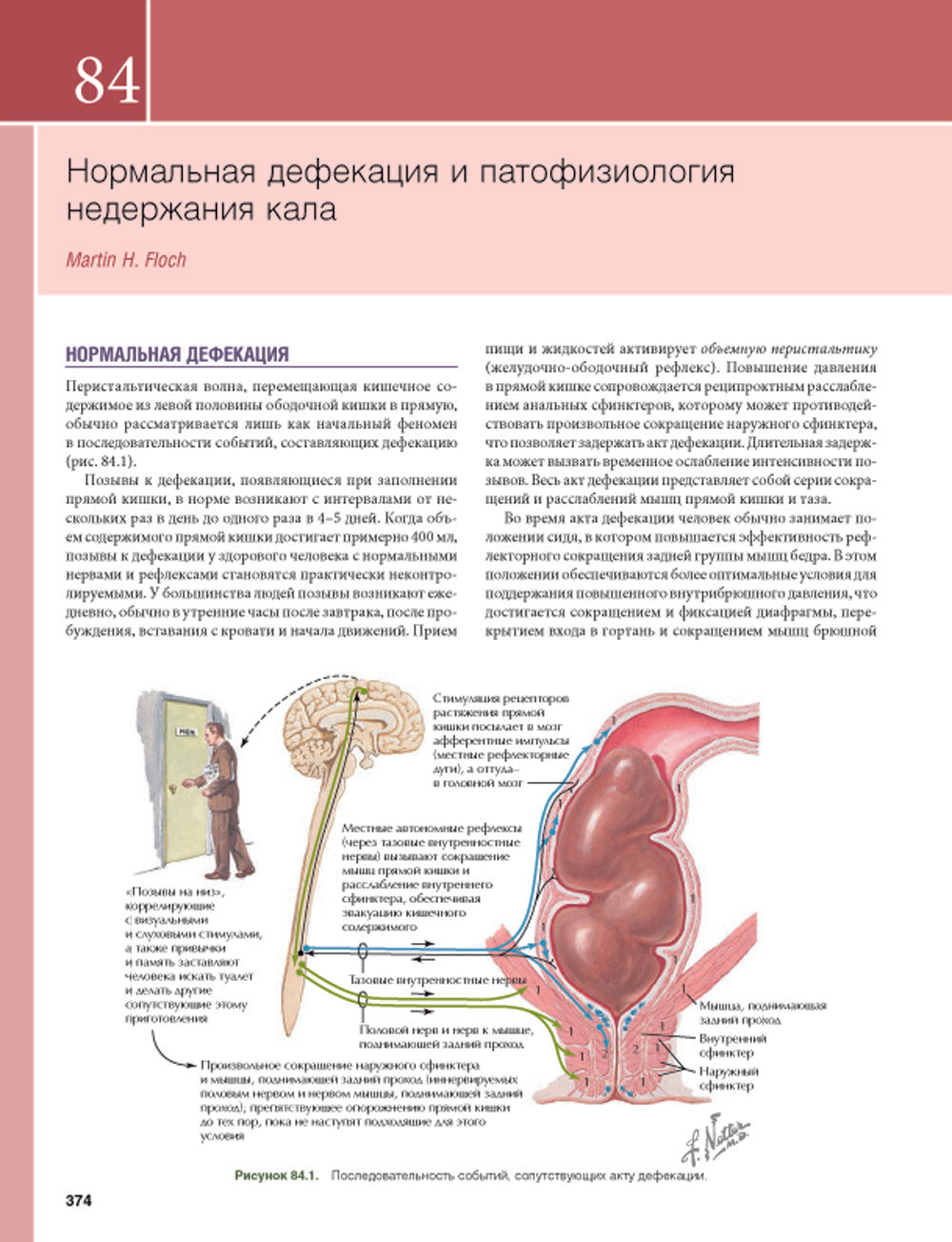 Гастроэнтерология с иллюстрациями Неттера. В 2 ч. (комплект из 2 кн.)