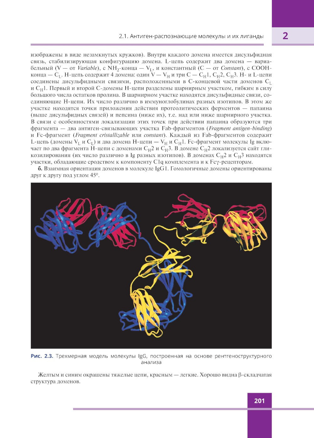 Иммунология. Атлас. 3-е изд., обновл