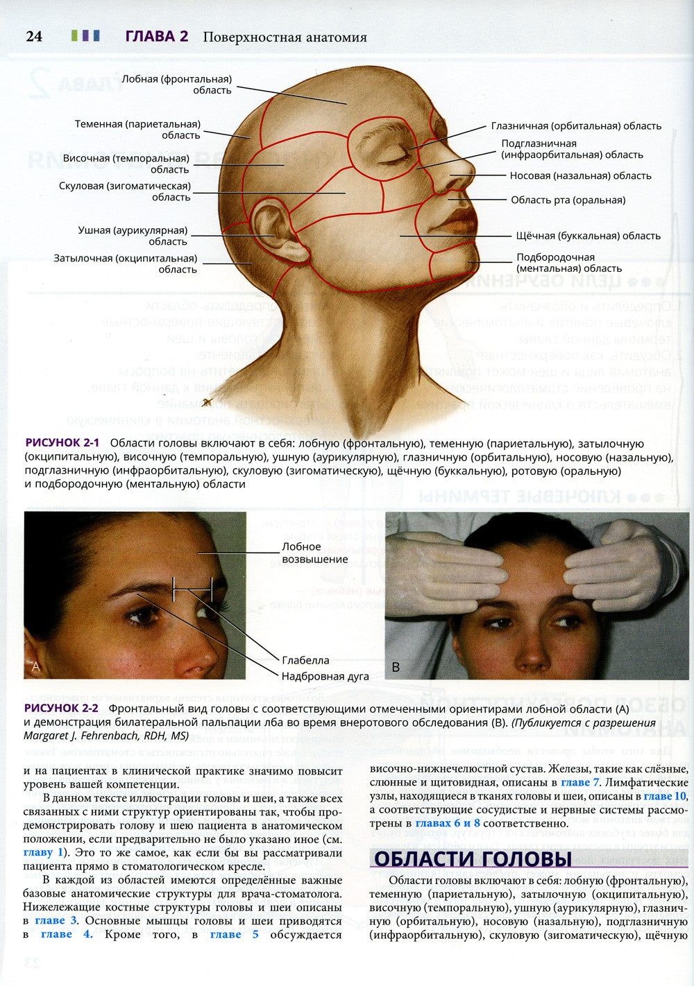 Иллюстрированная анатомия головы и шеи. 5-е изд