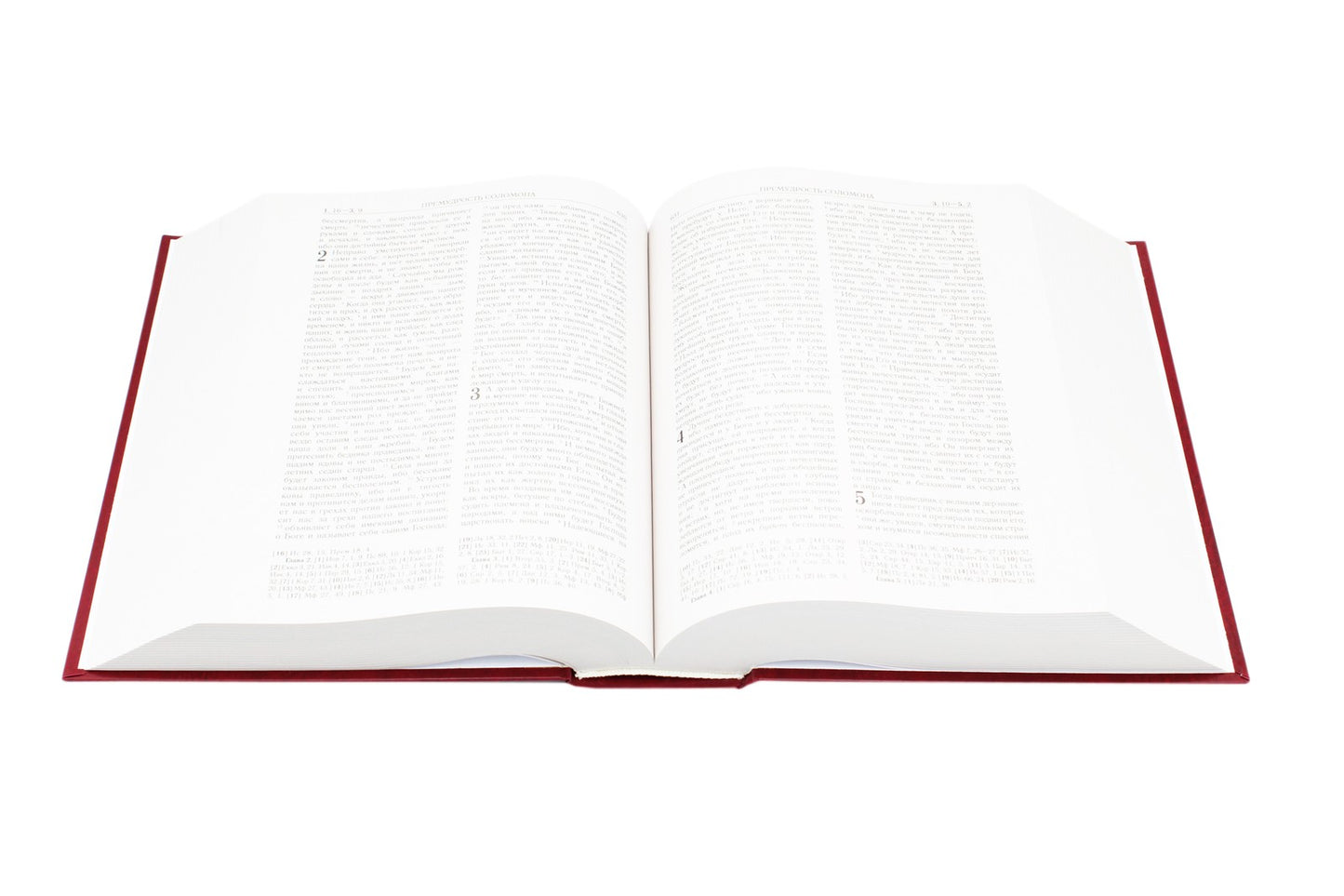 Библия. Книги Священного Писания Ветхого и Нового Завета