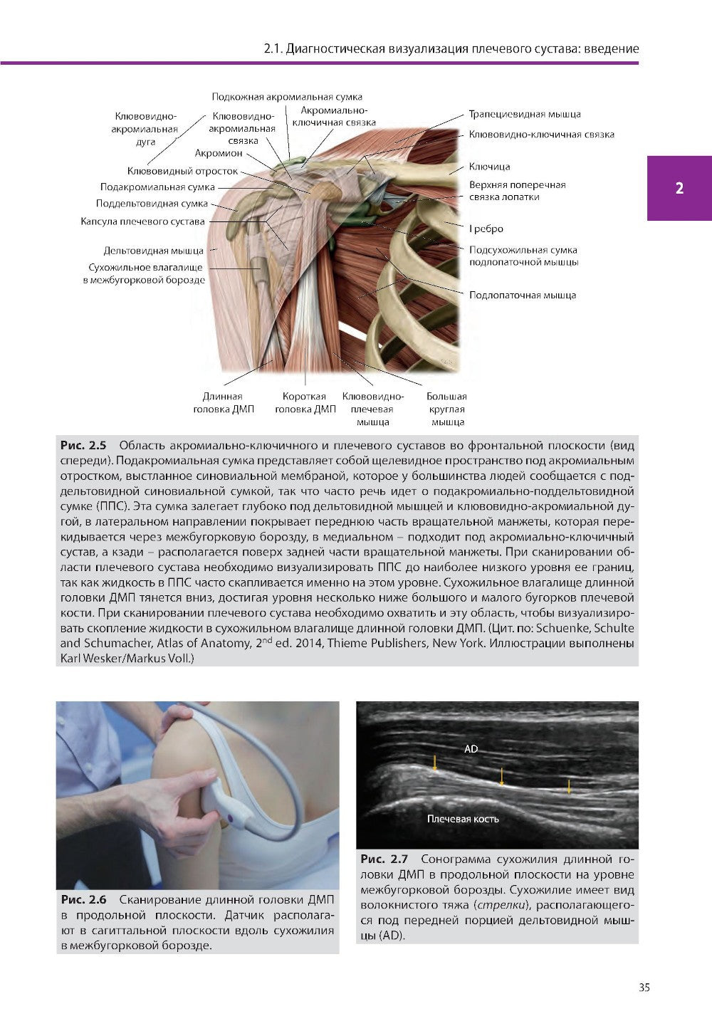 Ультразвуковая диагностика болезней костно-мышечной системы и инъекции под ул...