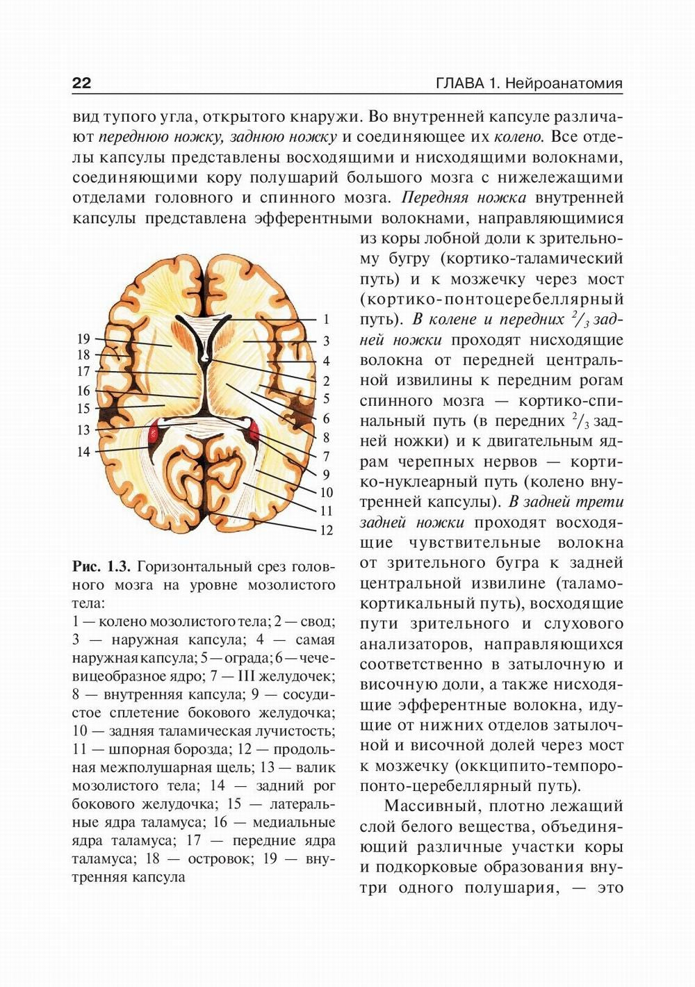 Детская неврология: Учебник. В 2 т. Т. 1