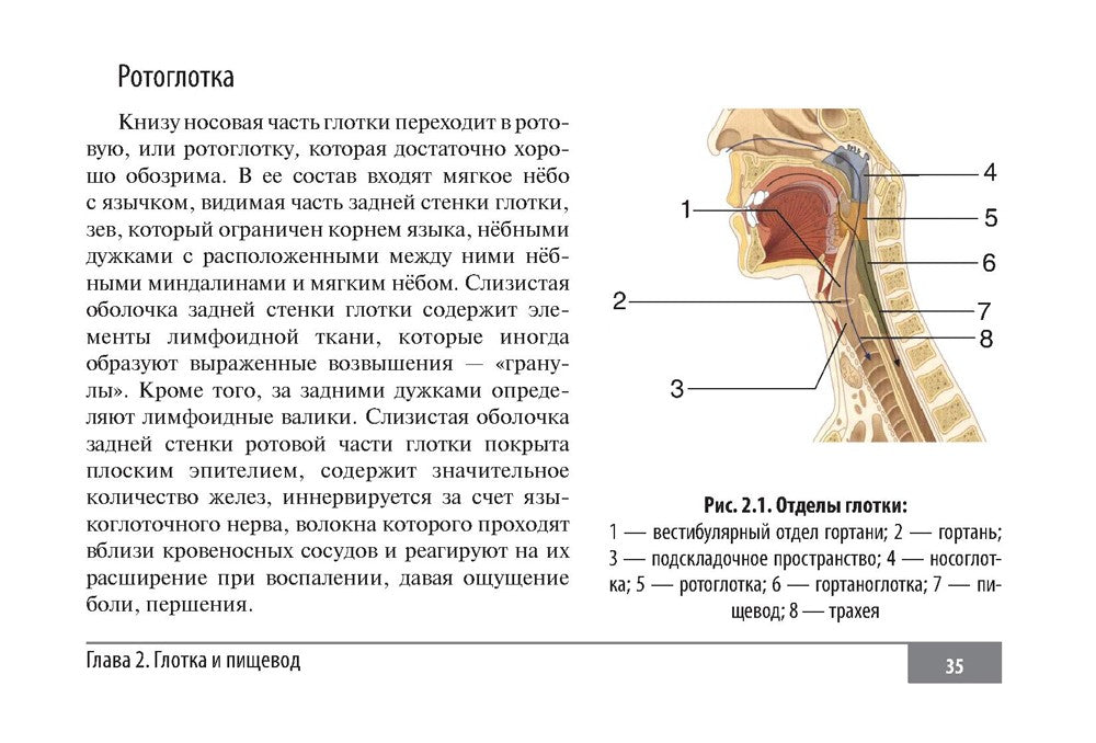 Клинические нормы. Оториноларингология