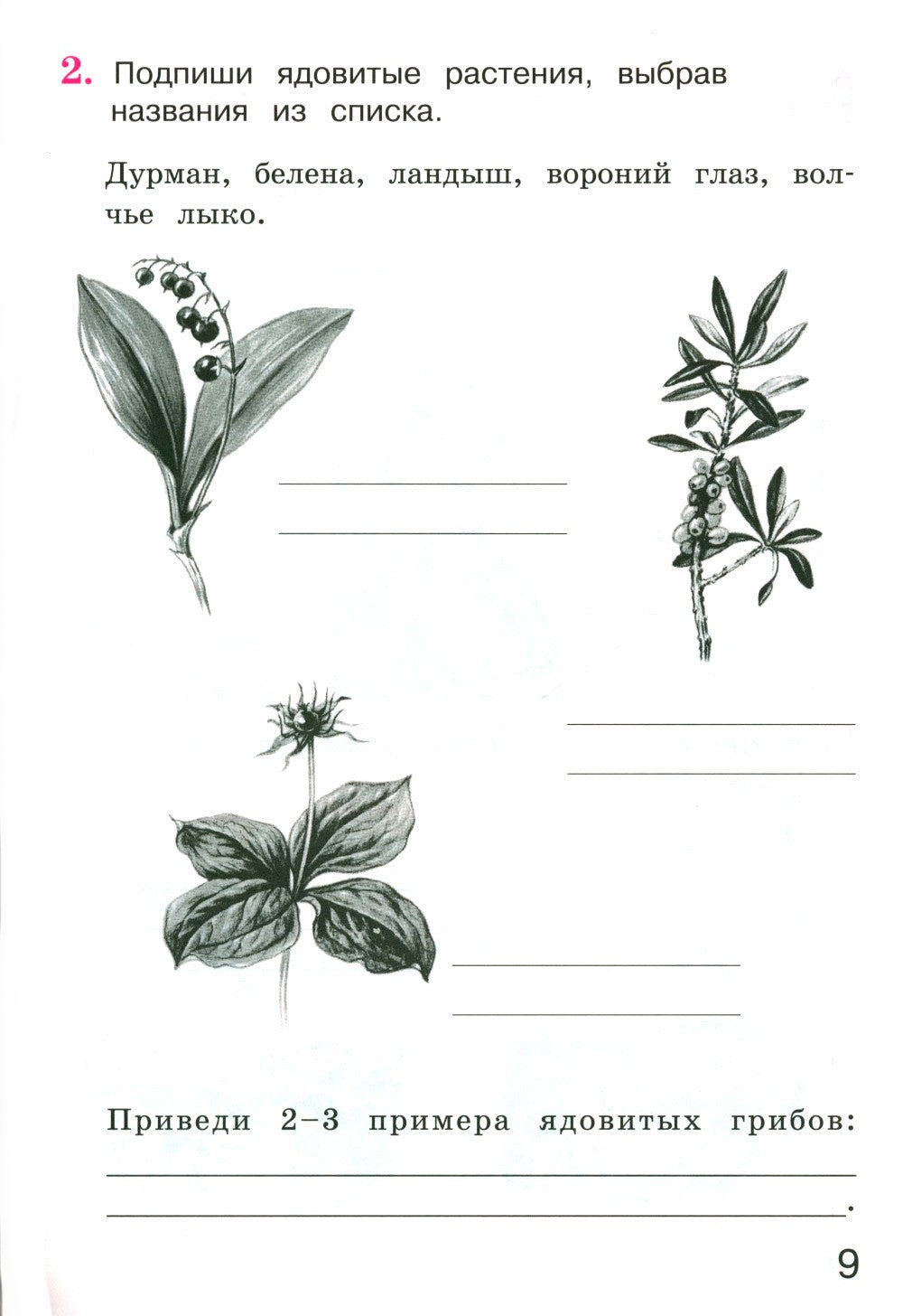 Окружающий мир 3 класс. Комплект тетрадей в 2-х частях для тренировки и самоп...