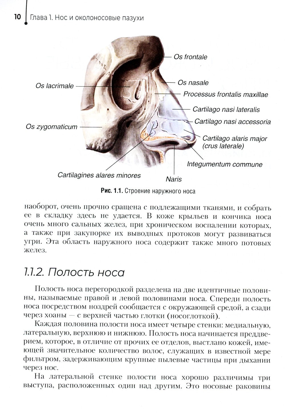 Диагностика и лечение пациентов с заболеваниями глаз и ЛОР-органов: Учебное п...