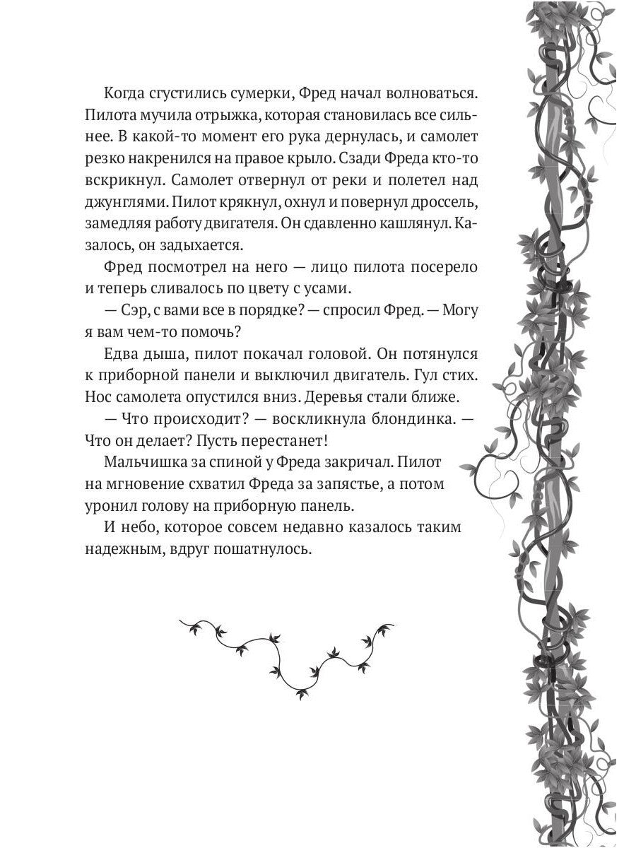 Исследователь: роман