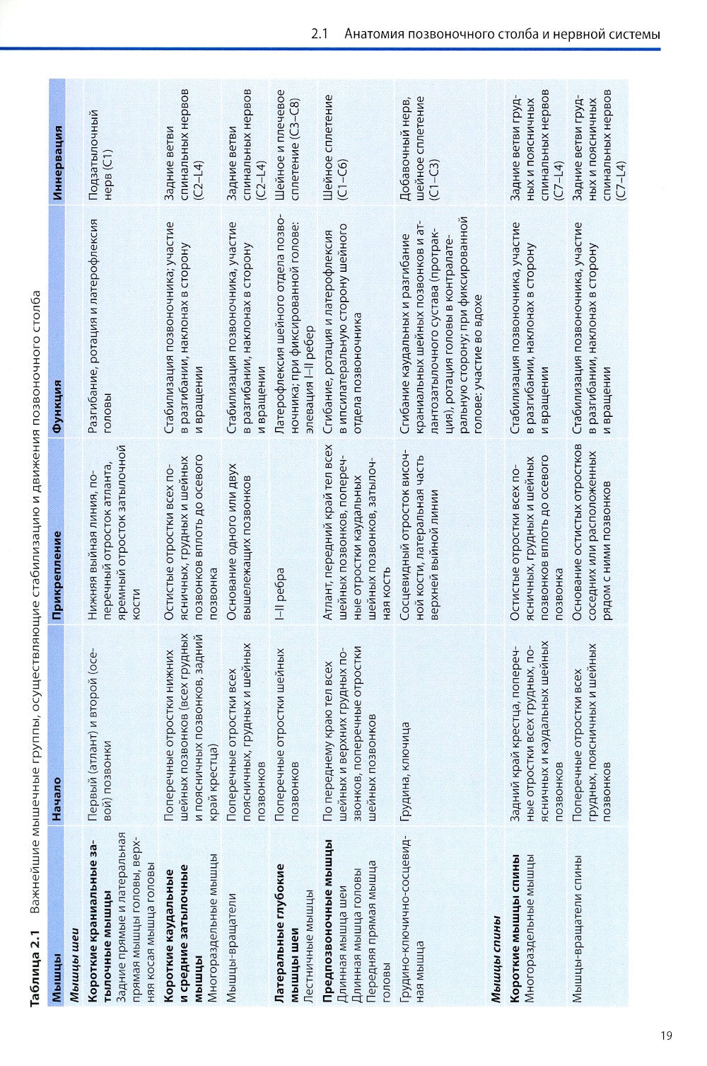 Диагностика и лечение поражений межпозвонковых дисков. Физическая терапия в н...