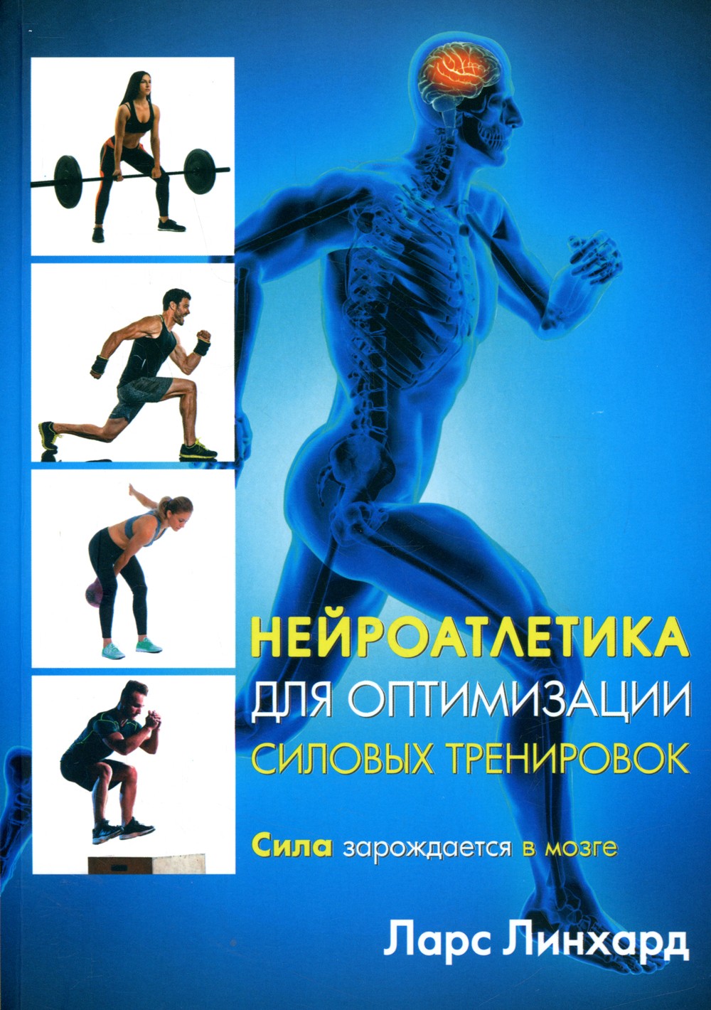 Нейроатлетика для оптимизации силовых тренировок: сила зарождается в мозге