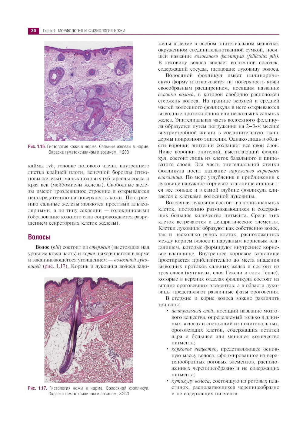 Клиническая дерматология. Иллюстрированное руководство для врачей. 2-е изд., ...
