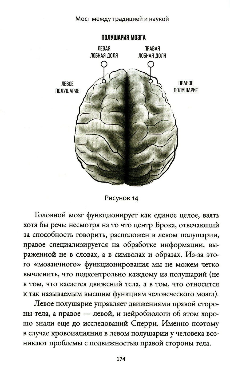 Дыхание и медитация осознанности: Как сохранять спокойствие в любых жизненных...