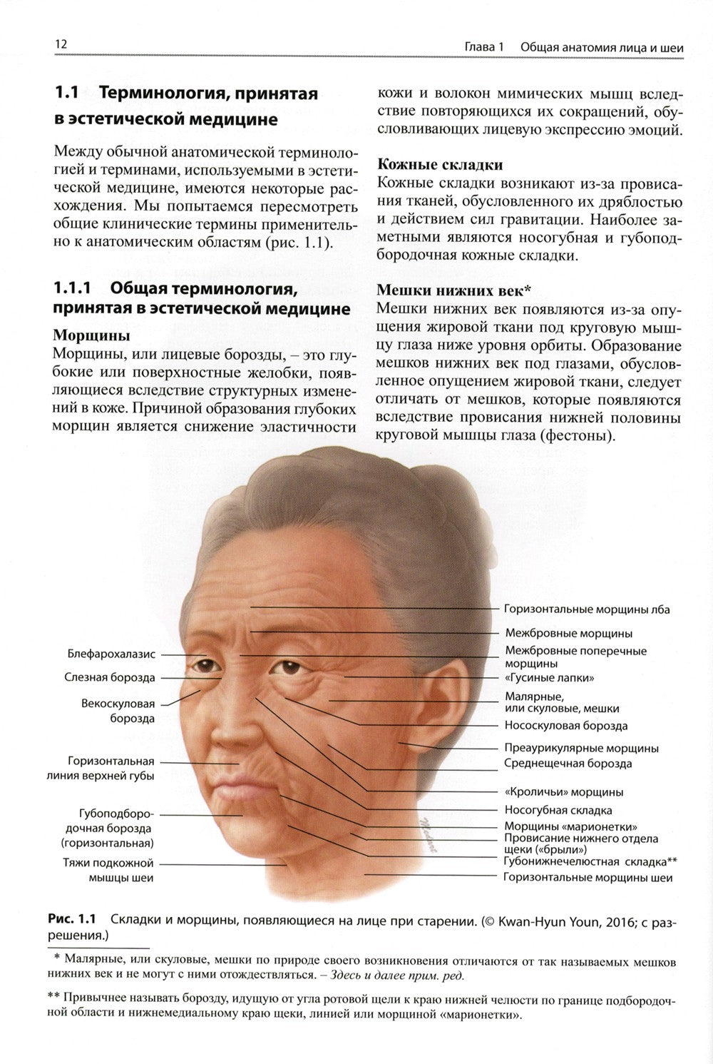 Клиническая анатомия лица применительно к контурной пластике с помощью филлер...