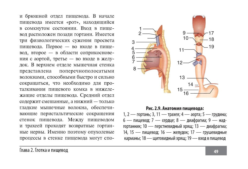 Клинические нормы. Оториноларингология