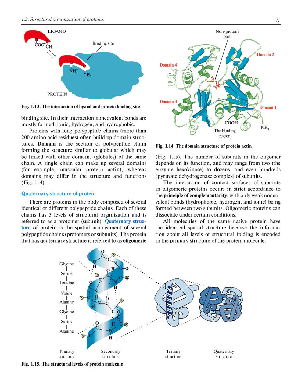 Biochemistry with exercises and tasks: textbook: на англ.яз