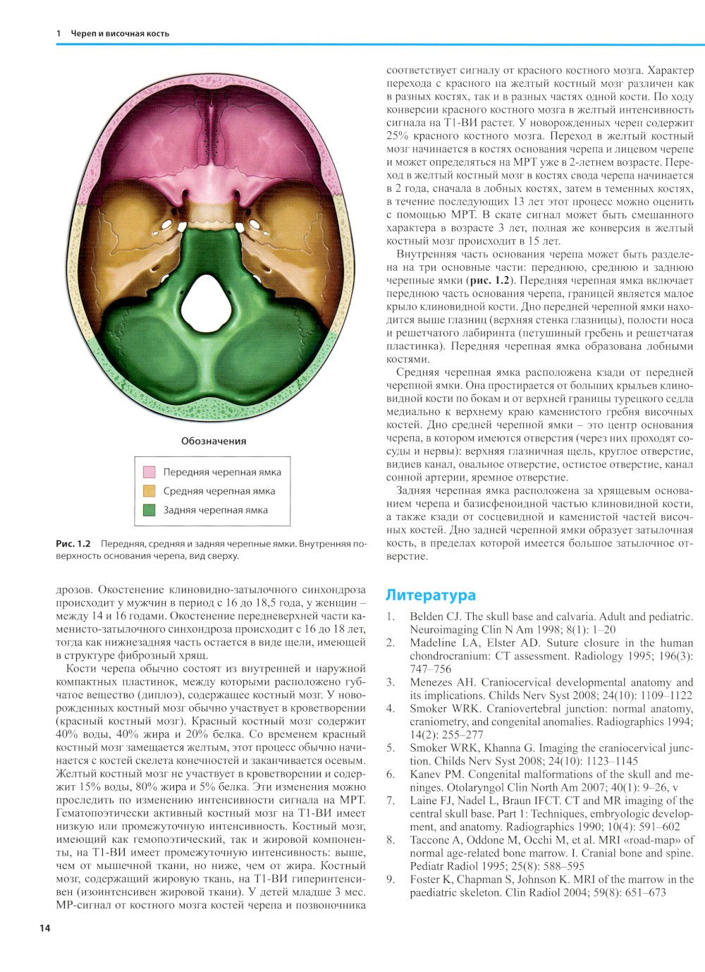 Дифференциальная диагностика в нейровизуализации. Голова и шея