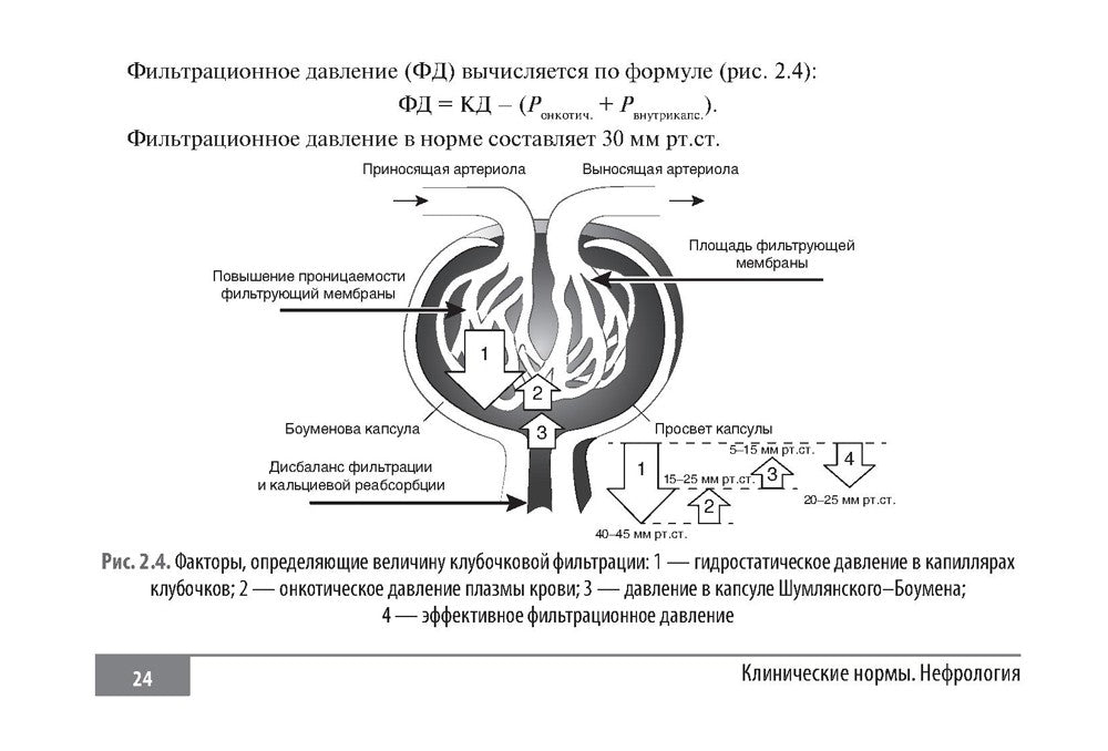 Клинические нормы. Нефрология