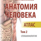 Анатомия человека: атлас: В 3 т. Т. 2. Спланхнология