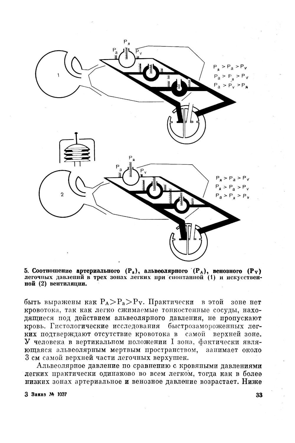 Клиническая физиология для анестезиолога. факсимильное издание. 2-е изд