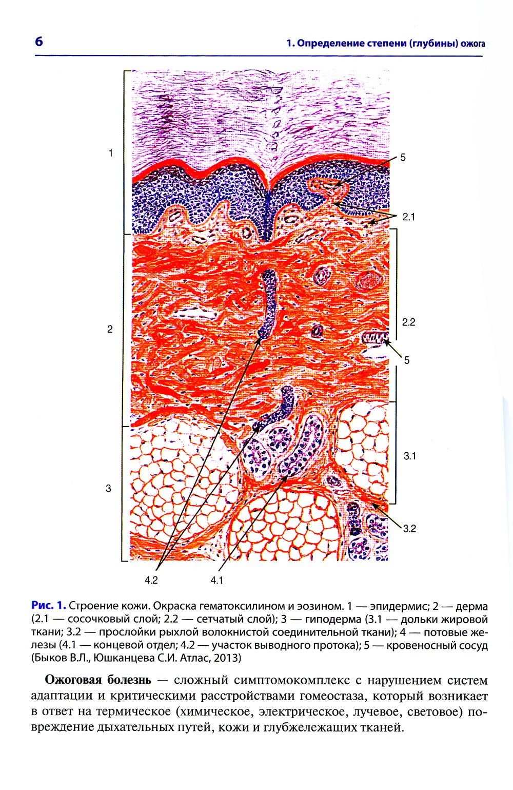 Атлас термических поражений