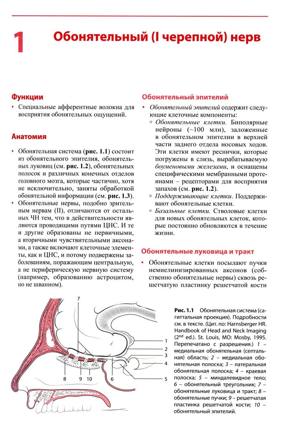 Черепные нервы: анатомия, патология, визуализация. 3-е изд