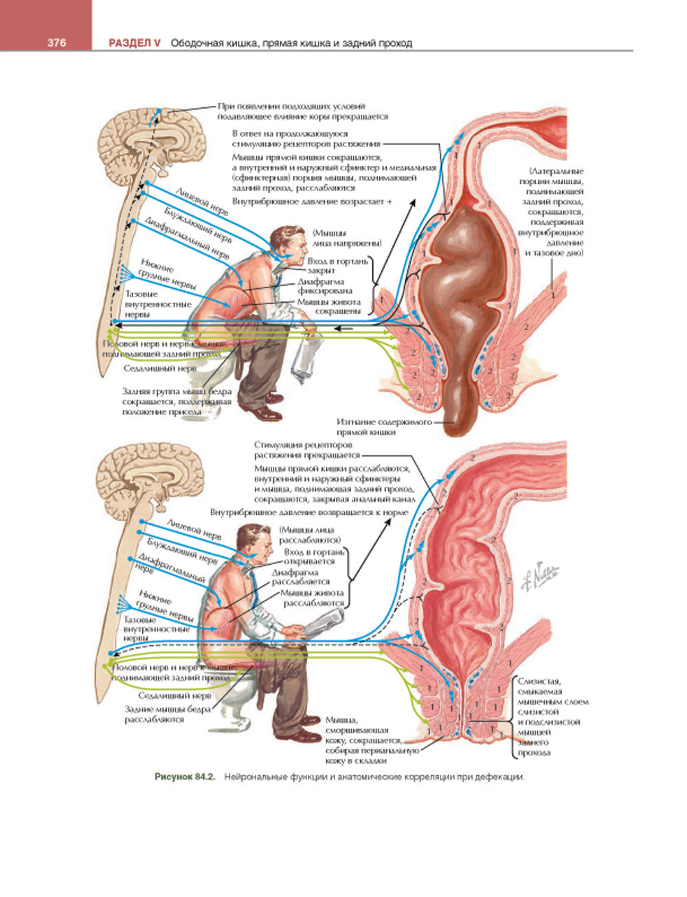 Гастроэнтерология с иллюстрациями Неттера. В 2 ч. (комплект из 2 кн.)