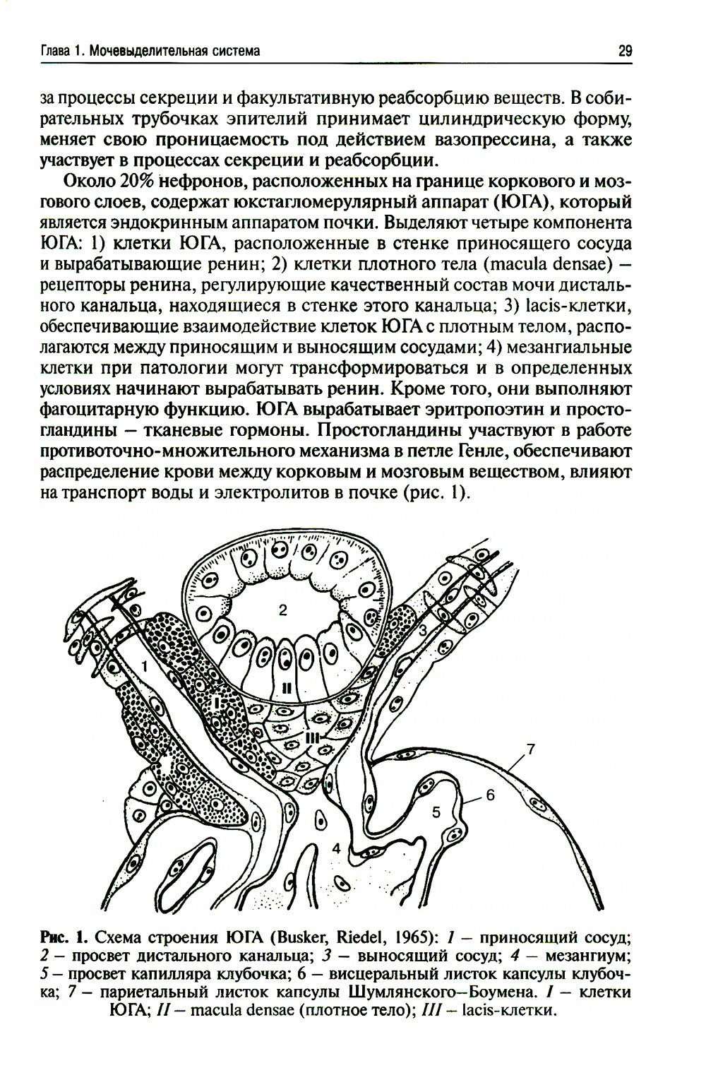 Методы клинических лабораторных исследований. 11-е изд