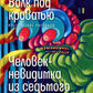 Волк под кроватью; Человек-невидимка из седьмого "Б"