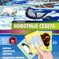 Животные севера. Дидактический материал по лексической теме. С 6 до 7 лет