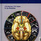 Черепные нервы: анатомия, патология, визуализация. 3-е изд