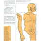 Атлас акупунктурных точек и меридианов. Вып. 8. 2-е изд