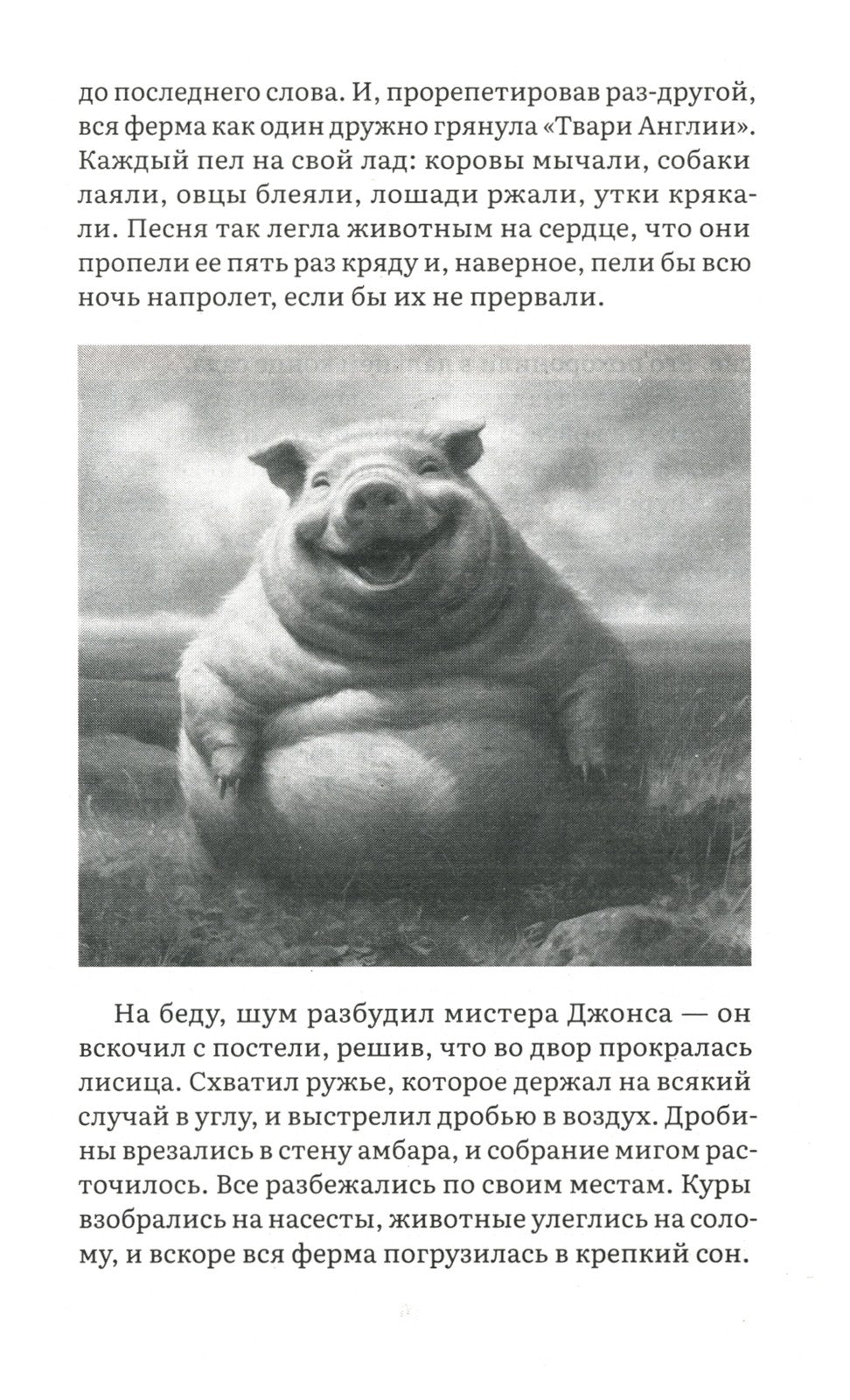 1984 + Скотный двор (комплект из 2-х книг)