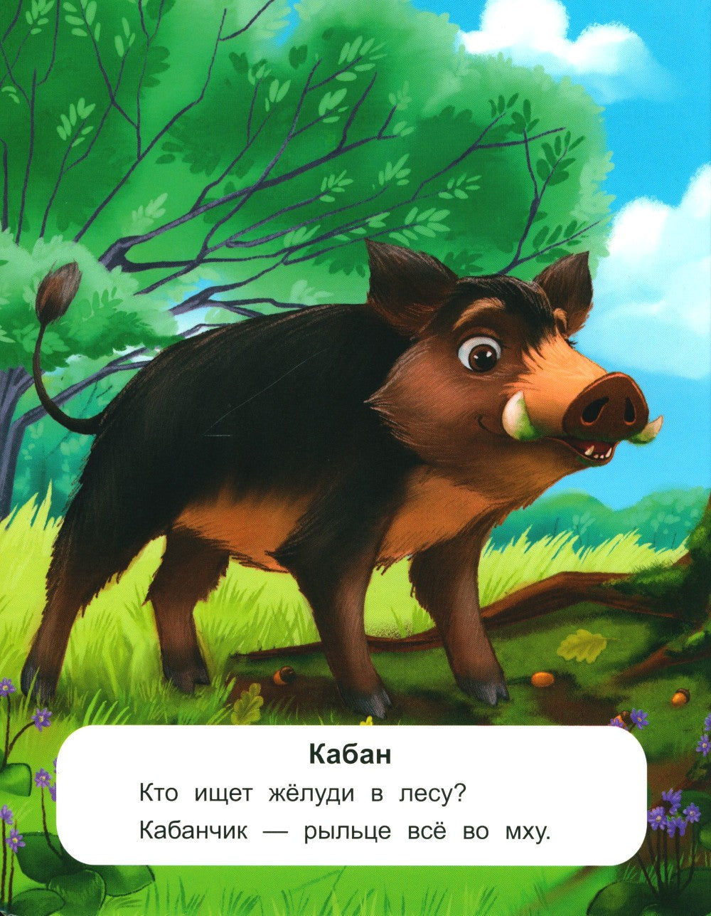 Лесные животные: стихи