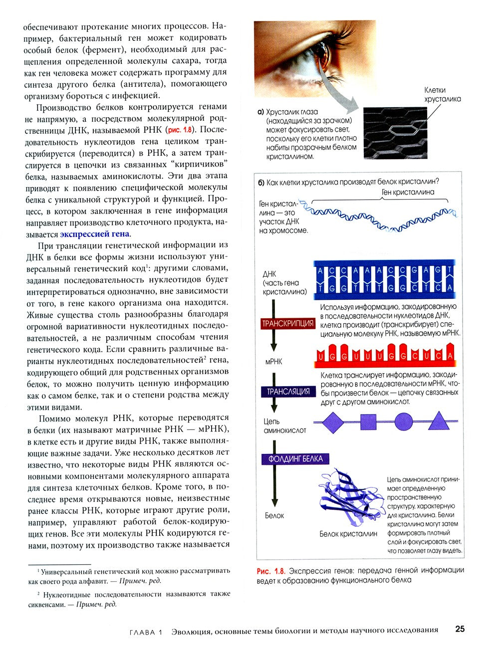 Биология Campbell. В 3 т. Т. 1. Химия жизни. Клетка. Генетика