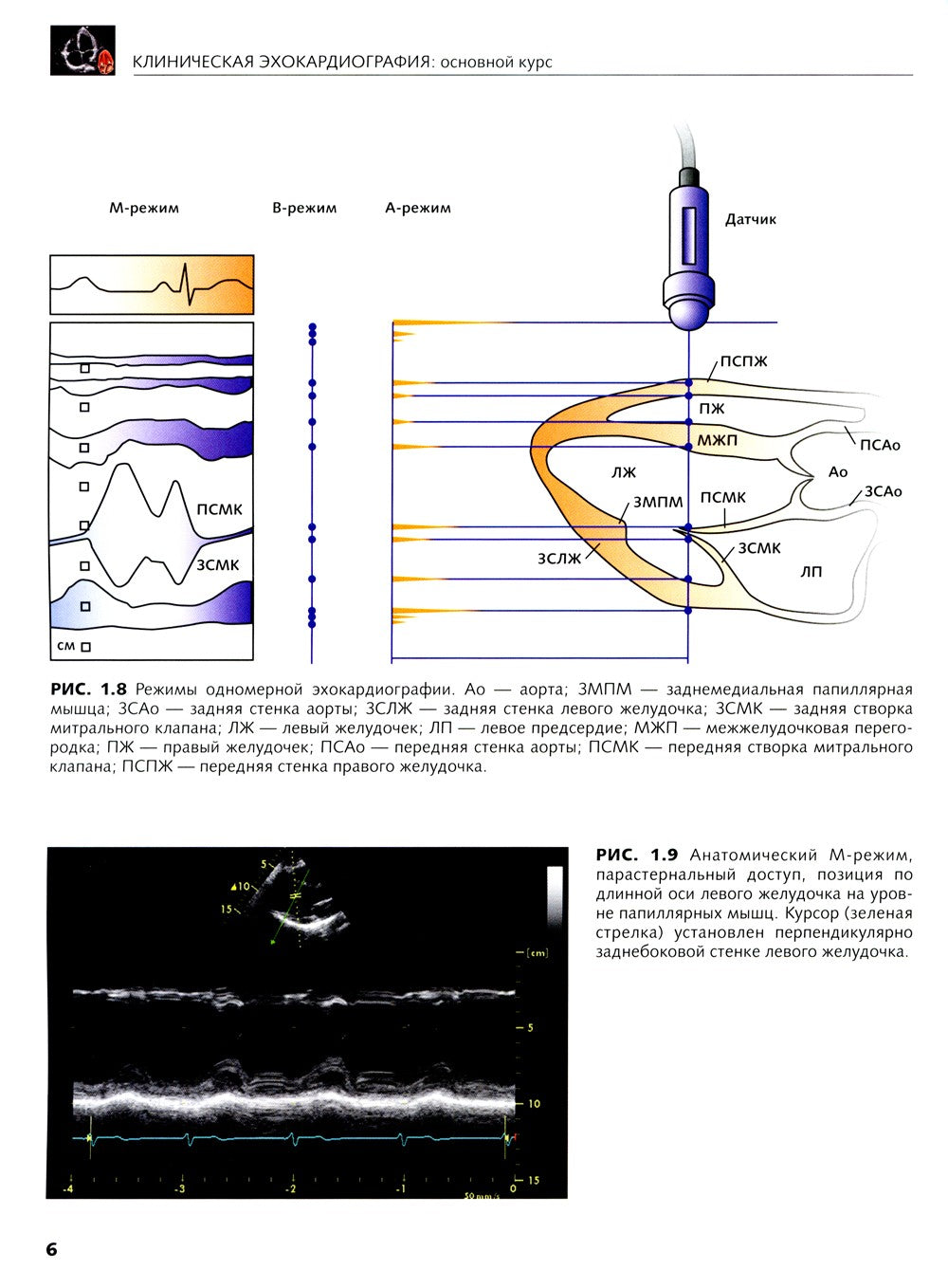 Клиническая эхокардиография: основной курс
