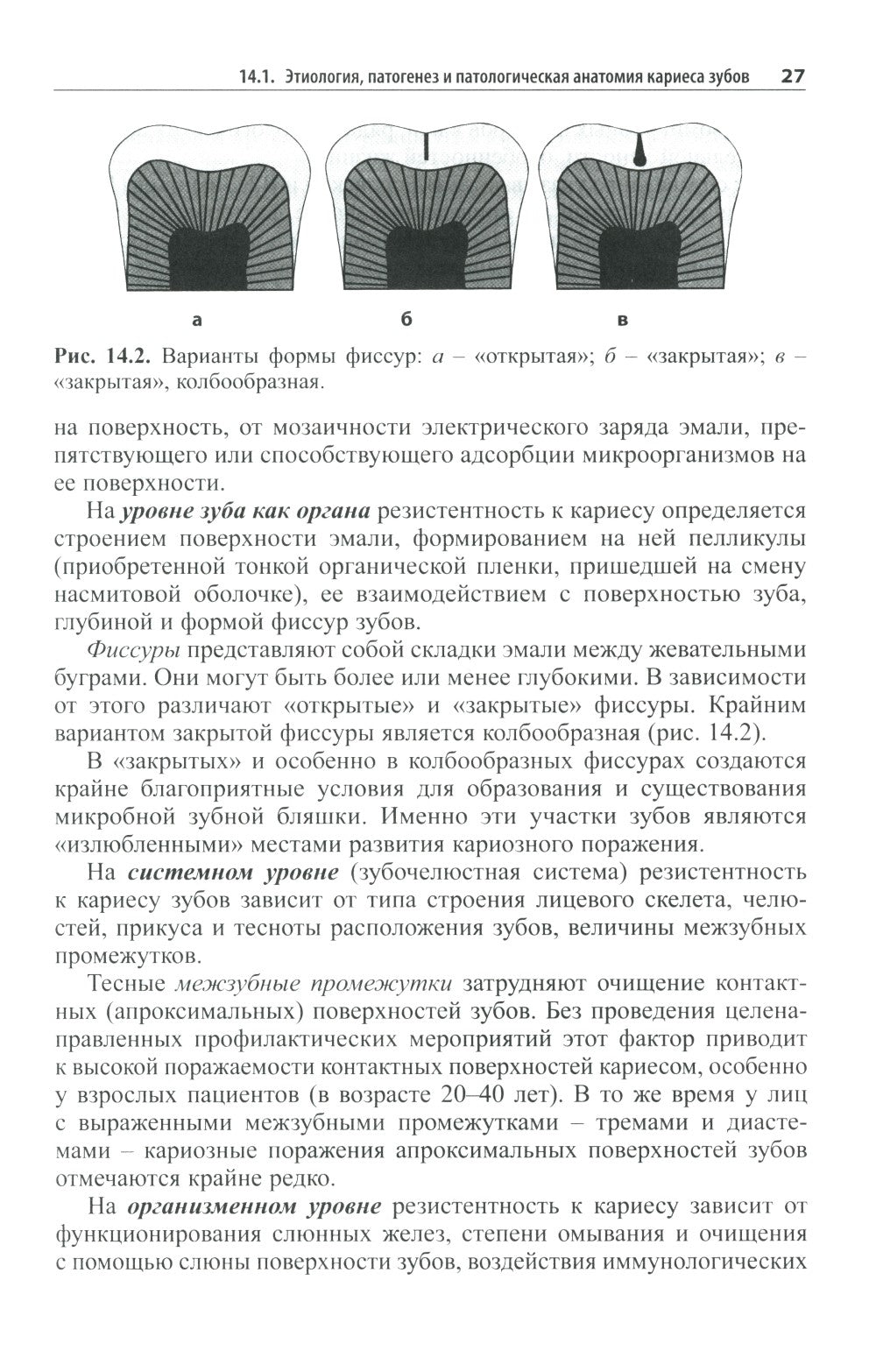 Практическая терапевтическая стоматология: Учебное пособие. В 3 т. Т. 2. 11-е...