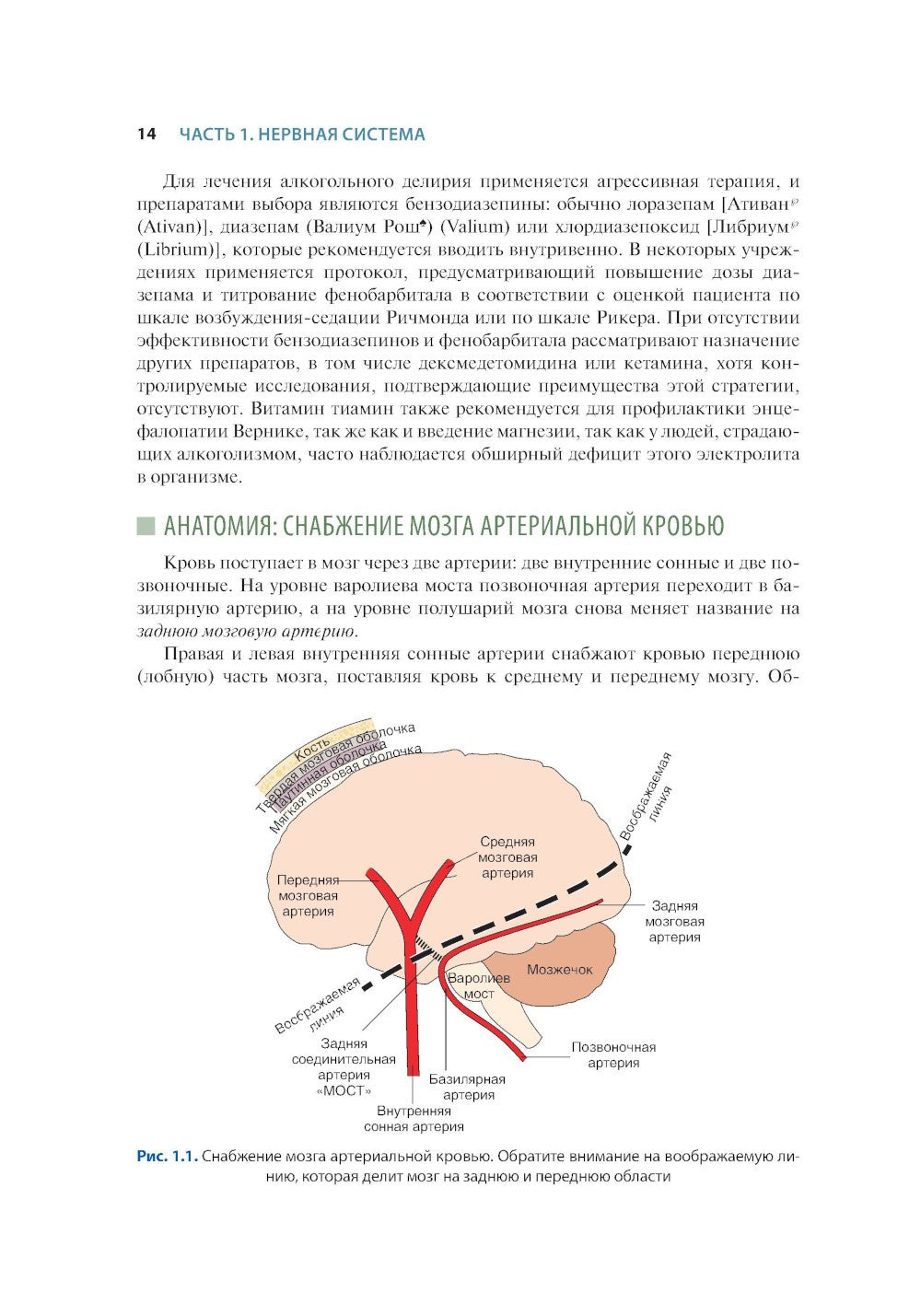 Краткий справочник по интенсивной терапии