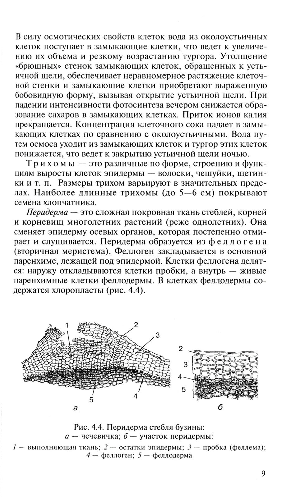 Биология для поступающих в вузы: В 2 т. Т. 2. 2-е изд., испр.и доп