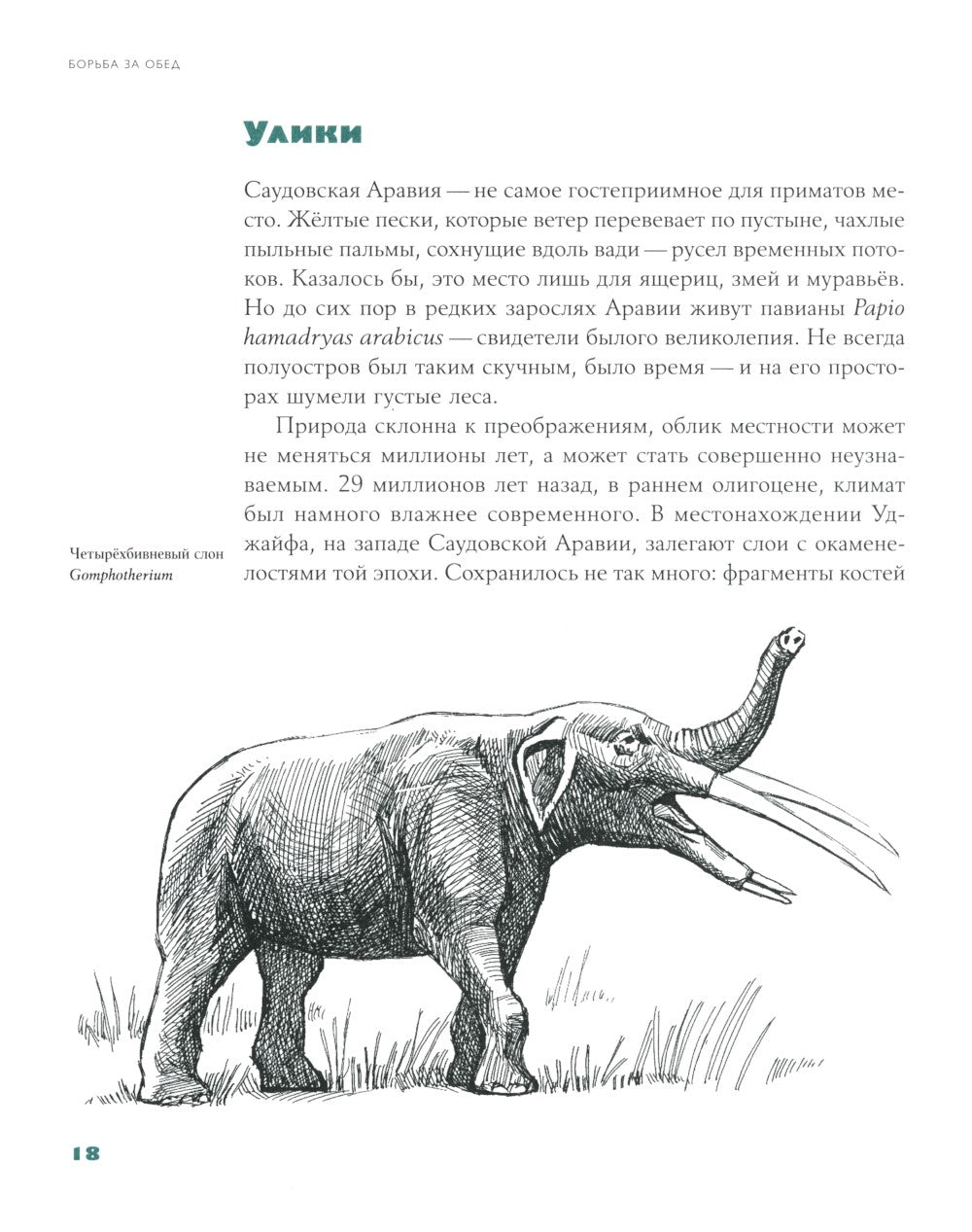 Борьба за обед: Еще 50 баек из грота