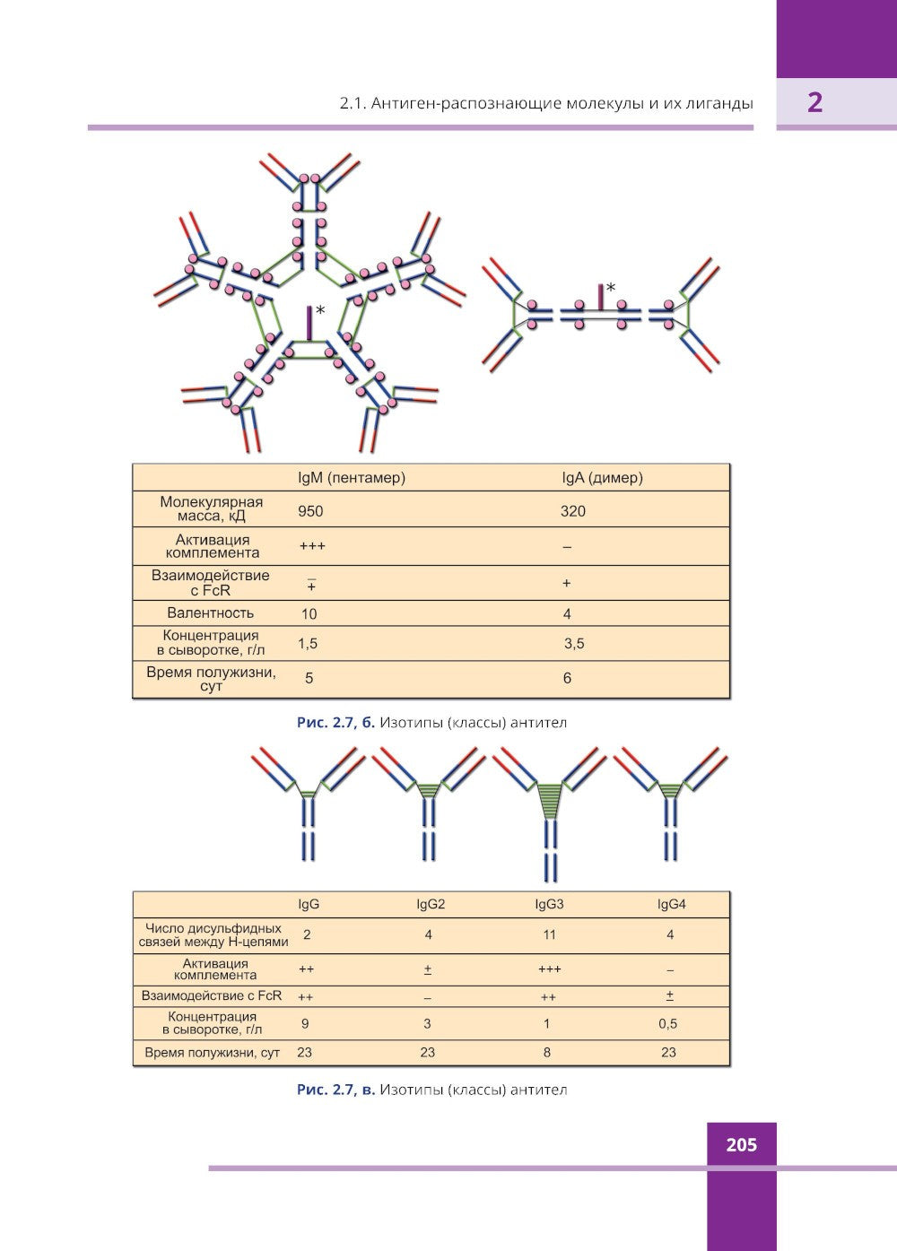 Иммунология. Атлас. 3-е изд., обновл
